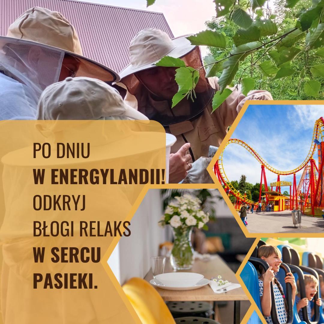 Miodowa Zagroda - Nocleg Zator Energylandia Miejsce Dış mekan fotoğraf